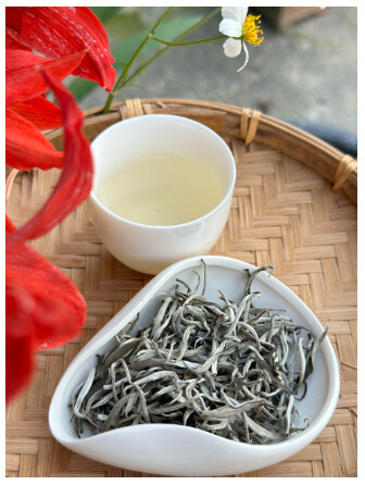 BẠCH TRÀ TÂY CÔN LĨNH (Hộp Tre 50g) – FINHO Trà