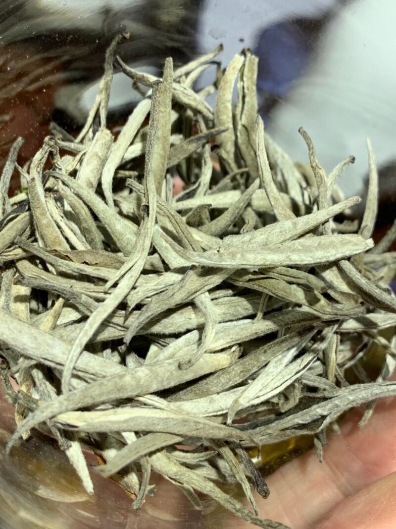 Hộp Bạch trà Bách Shan – 100g – BashTea