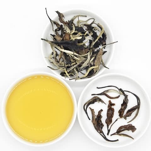 Bạch Trà Mây Tà Xùa Shanam Bạch Trà Mây Tà Xùa Shanam