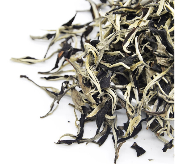 Bạch Trà Mây Tà Xùa Shanam Bạch Trà Mây Tà Xùa Shanam