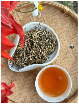 HỒNG TRÀ BÚP ORGANIC EU – FINHO Trà
