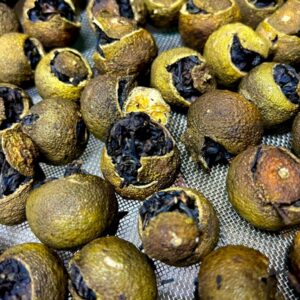 Trà Quýt Cổ Shanam Trà Quýt Cổ Shanam