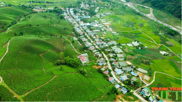 Lễ hội Trà “Tân Uyên – Hương sắc miền trà”