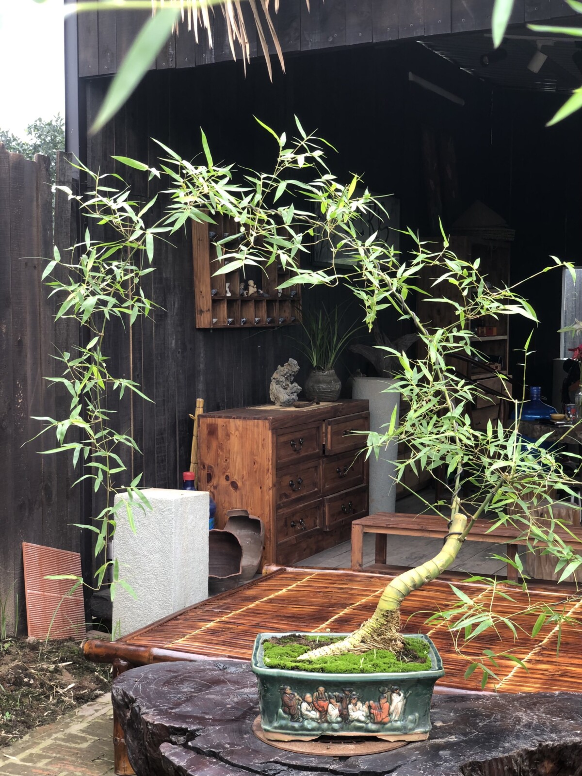 Tre Decor Phòng Trà