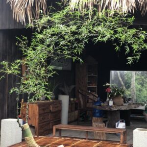 Tre Decor Phòng Trà