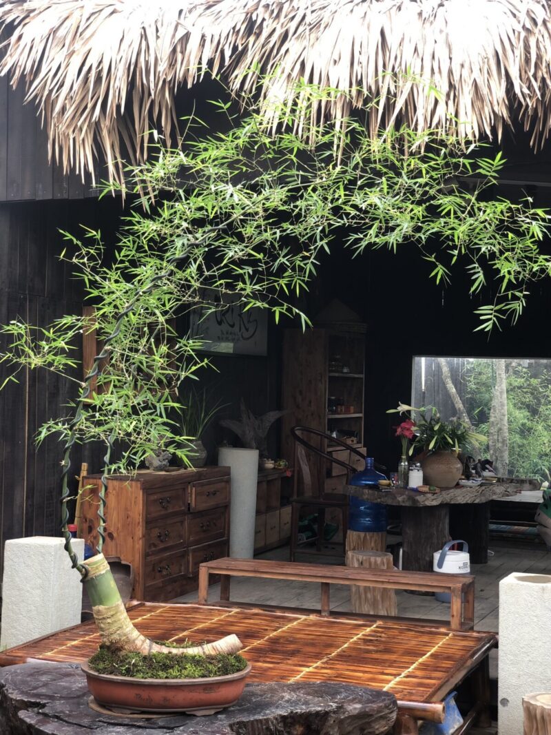 Tre Decor Phòng Trà