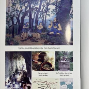 Sách Văn Minh Trà Việt – TG Trịnh Quang Dũng