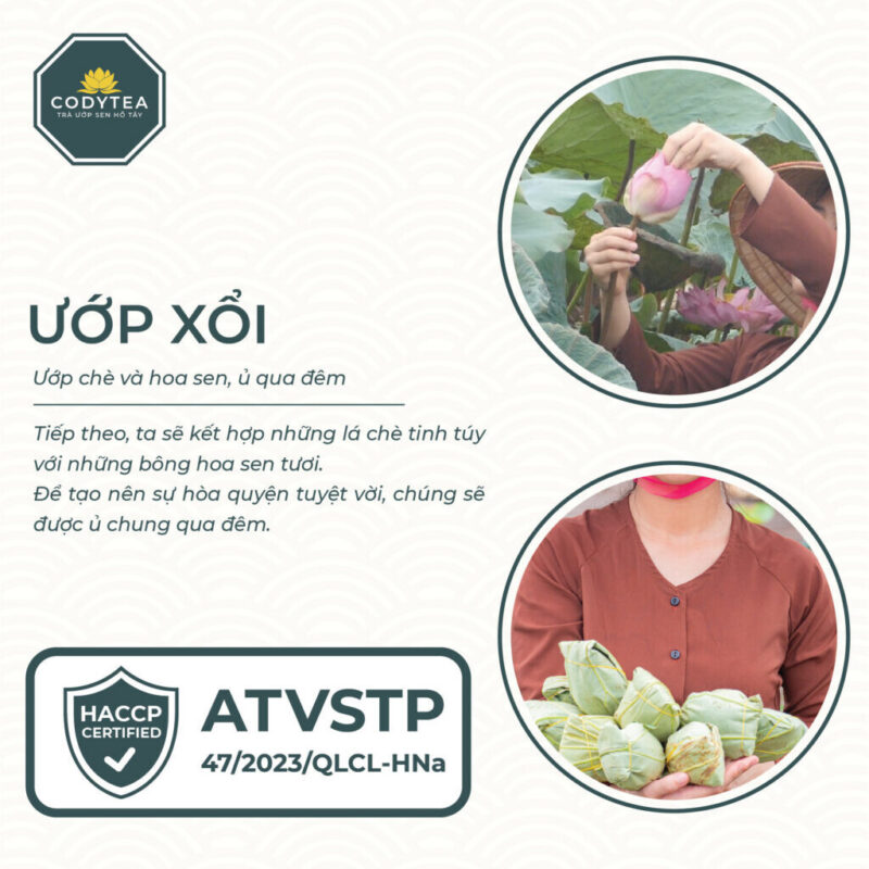 Hop truong tho 2 Trà Ướp Sen Hồ Tây CodyTea (Đại Thọ)