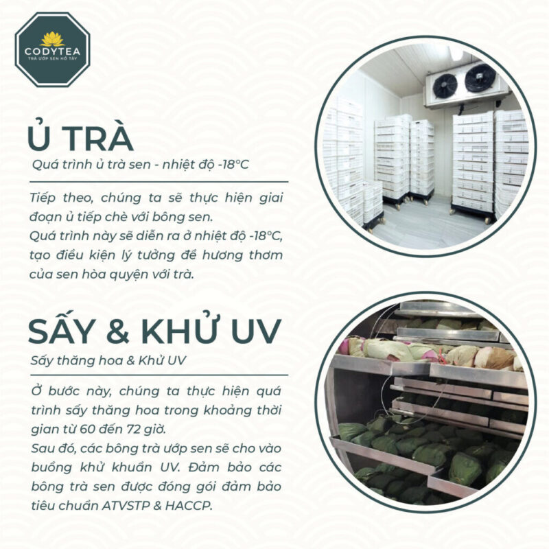 Hop truong tho 3 Trà Ướp Sen Hồ Tây CodyTea (Đại Thọ)